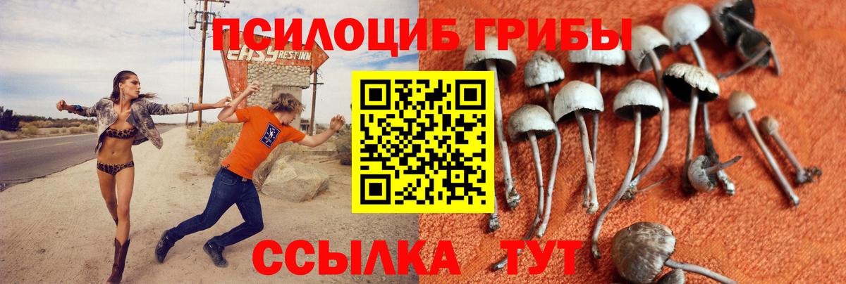 Псилоцибиновые грибы Psilocybe  Вход с VPN  Москва 
